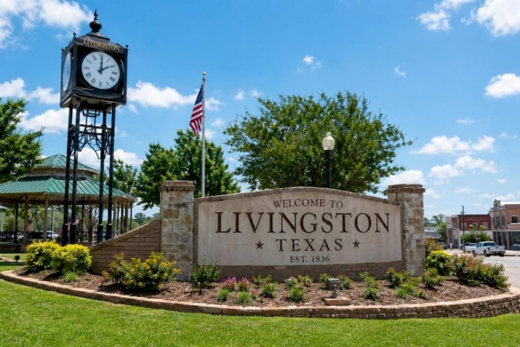 Welcome to Livingston Texas sign with downtown landmark, highlighting Polk County community and local real estate market in Livingston TX